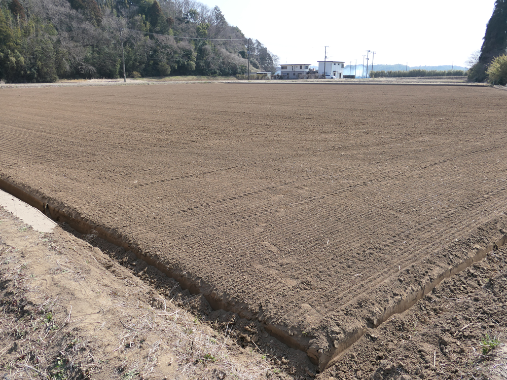 ほ場
