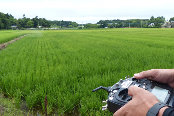 薬剤散布(ふさこがね7月12日)