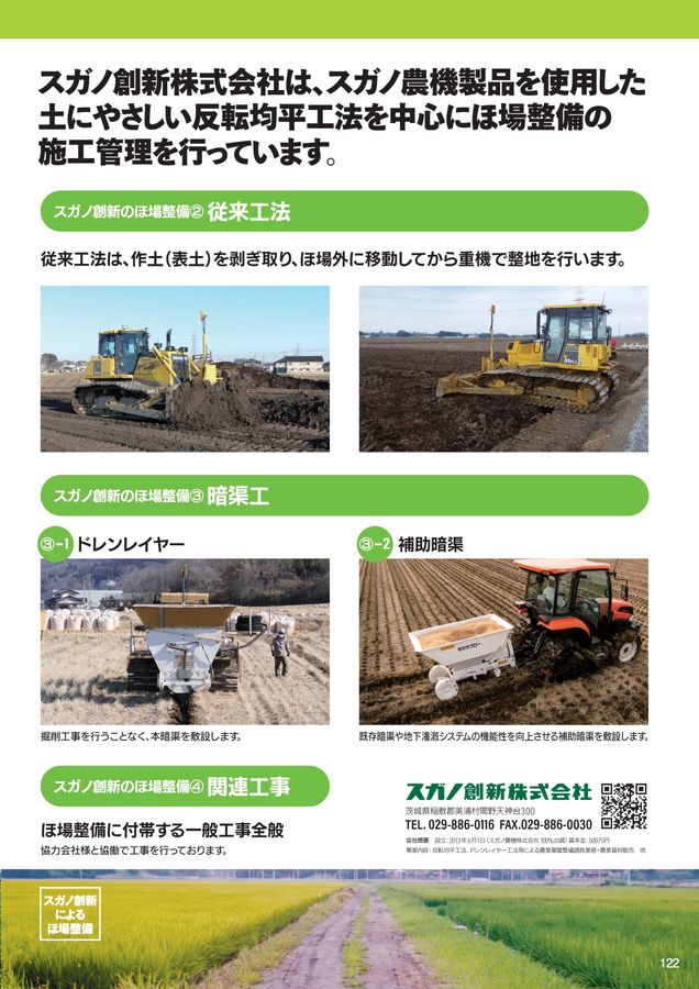 アルバーティアナコニカ/大株【現品発送】管理70631 Amazon.co.jp: 『植木/庭木/苗木』アルバーティアナコニカ/大株【現品